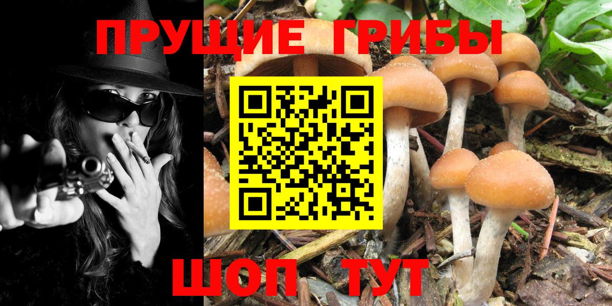 Псилоцибиновые грибы прущие грибы  Псилоцибиновые грибы Psilocybine cubensis  Вход с VPN  Тара 